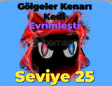 (Evrimli Shadow edge cat)