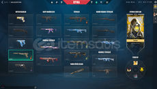 Champions 25 set + 4 skinli valorant hesabı