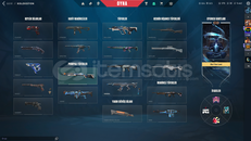 9 Skinli Mainlemelik valorant hesabı