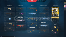 Champions 25 set + 5 skinli valorant hesabı