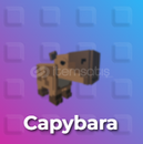 Exclusive Capybara Raise Animal