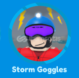 ✨Expedition Antarctica: Storm Goggles✨