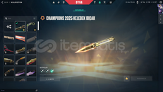 ✨Champıons Set, RGX Karambit+✨