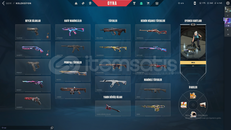  F/P1300tl harcanmış iyon vandallı hesap 