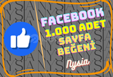 Facebook - 1.000 Adet Sayfa Beğenisi⭐