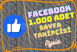 Facebook - 1.000 Adet Sayfa Takipçisi⭐