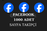 ⭐ Facebook 1000 Sayfa Takipçi