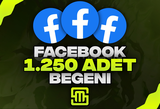 ✨FaceBook 1.250 Adet Beğeni!