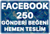 Facebook 250 Gönderi Beğeni - Algoritma Etkili