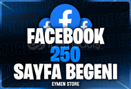 ⭐ Facebook 250 Sayfa Beğeni