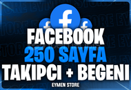 ⭐ Facebook 250 Sayfa Takipçi + Beğeni