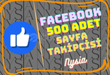 Facebook - 500 Adet Sayfa Takipçisi⭐