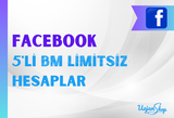 Facebook 5'li Business Manager Hesaplar