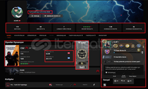 FACEİT 10 LVL 2002 ELO 174 MAÇ + 7 MADALYA