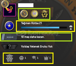 FACEİT+ 3 MADALYA 55 WİN 101 SAAT SEÇKİN HESAP