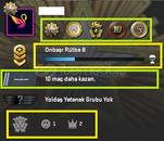 FACEİT+ 5 MADALYALI 81 WİN 286 SAAT SEÇKİN