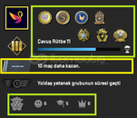 FACEİT+ 7 MADALYA 341 WİN 672 SAAT SEÇKİN HESAP