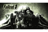 Fallout 3: Game of the Year Edition
 + Garanti