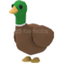 Farm Eggden Çıkan Drake 