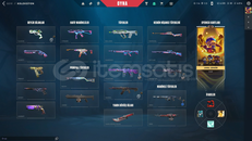 FAVORİ SKİNLERLE DOLU HESAP