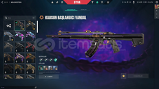 FAVORİ SKİNLERLE DOLU HESAP