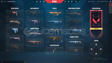 FAZ KORUYUCU+AEMONDIR+MİNİMA KARAMABIT