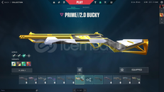 FAZ KORUYUCU SETLİ MAİNLİK ÖMÜRLÜK HESAP