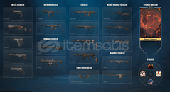 FELAKETİN KALBİ SETLİ ALTIN 1 MAİN HESAP +700VP