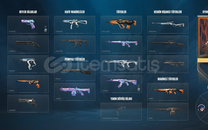 FENA RGX KARAMBİTLİ DOLU HESAP