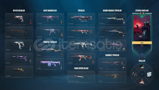 FENA SKİNLER OLAN HESAP