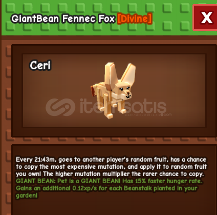 FENNEC FOX FENNEC FOX