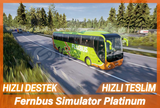 Fernbus Simulator Platinum Edition