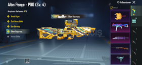 Firavunlu 50 koleksiyonlu hesap 