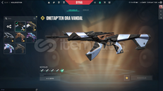 FIRSAT!!, 47 SKİNLİ VALORANT ❤✔ İNDİRİM VAR