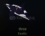 fisch 2 orca