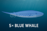 fisch 5 adet blue whale