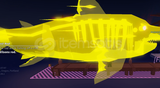 ⭐FISCH 6m FISCH COIN 12x PHANTOM MEGALADON⭐