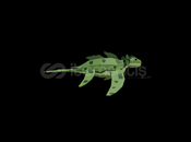 Fisch Mosslurker Fisch Mosslurker