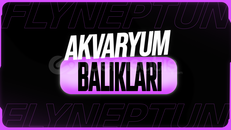 Fisch Akvaryum Balıkları
