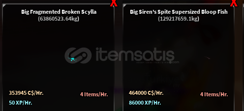 Fisch aşırı kaliteli akvaryum balıkları Fisch aşırı kaliteli akvaryum balıkları