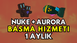 FİSCH AURORA + NUKE HİZMETİ [1-ay ]