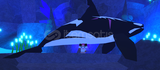 FISCH BIG ORCA