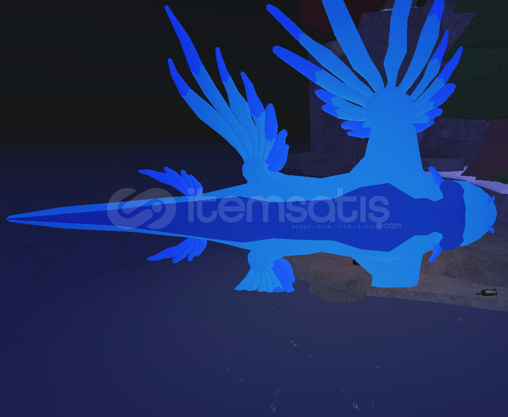 Fisch Colossal Blue Dragon Saatte 269k