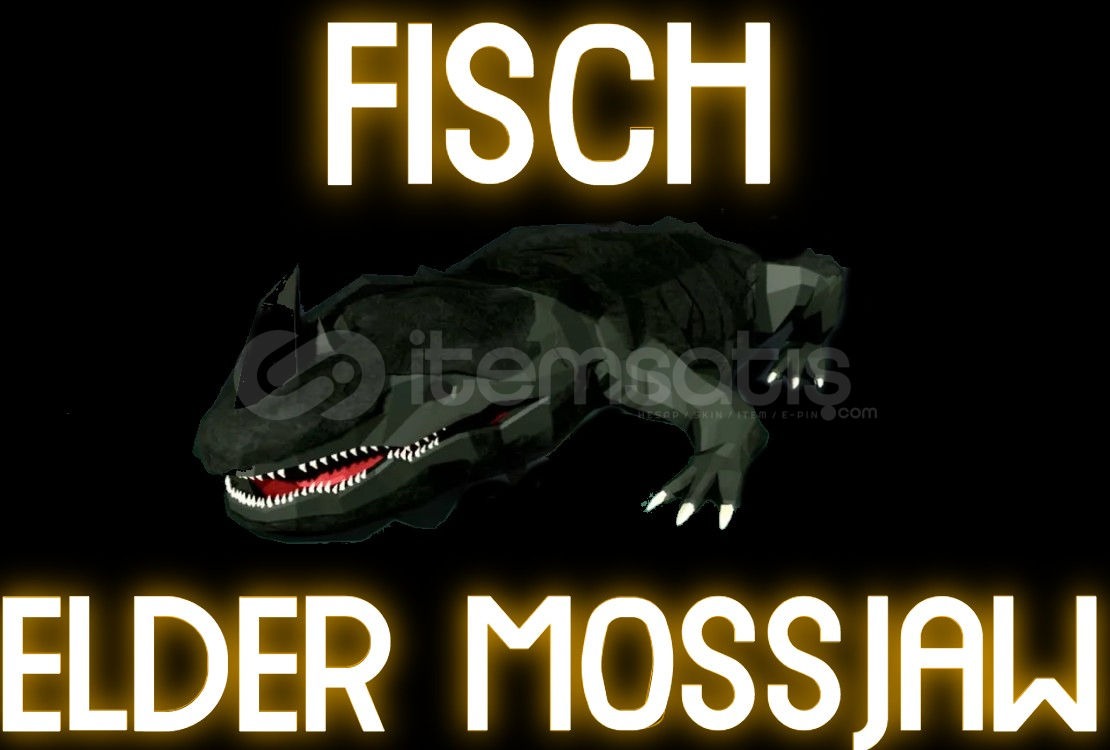 ⭐FİSCH ELDER MOSSJAW ⭐ ⭐FİSCH ELDER MOSSJAW ⭐