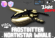 FİSCH FROSTBİTTEN NORTHSTAR WHALE