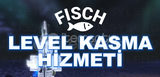 Fisch Hesap Kasma Hizmeti