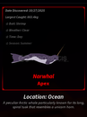 ✨FİSCH NARWHAL EN UYGUNU ✨FİSCH NARWHAL EN UYGUNU