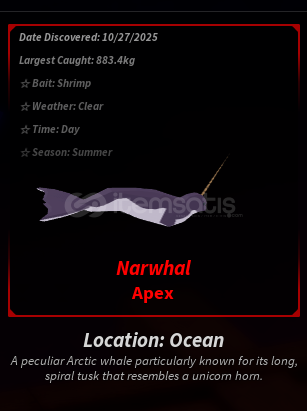 ✨FİSCH NARWHAL EN UYGUNU ✨FİSCH NARWHAL EN UYGUNU