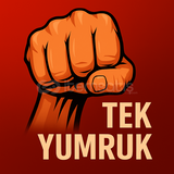 Fivem Tek Yumruk