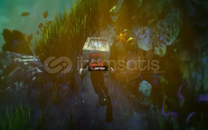 Fivem Gelişmiş Hazine avcılığı meslek (co-op)